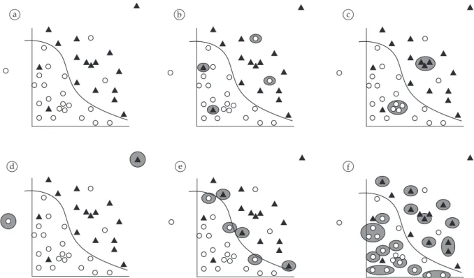 Figure 1. Different types of noise present in data sets: a) Simple data set; b) Mislabeled cases; c) Redundant data; d) Outliers; e) Borderlines; 