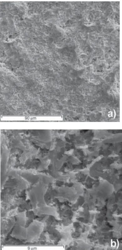 Figure 3. SEM microphotographs for the Ti/Nb 2 O 5 -Pt electrode a) x 500 b) x 5000
