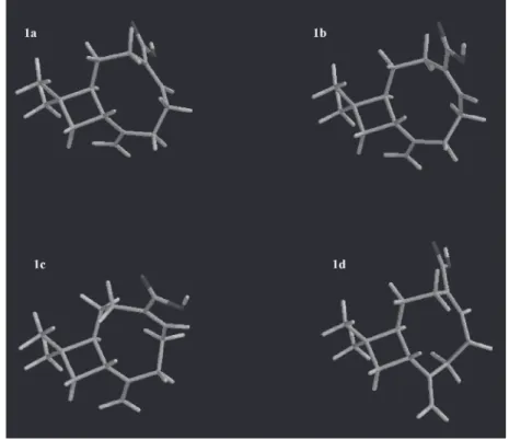 Figure 2. Geometries of conformers from 1a to 1d generated by the conformational search (AM1) and optimized by calculations (DFT/BLYP/6-31G*)