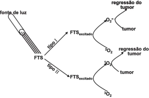 Figura 1. Esquema de excitação do FTS com luz visí- visí-vel. O FTS excitado transfere elétrons para o  3 O 2   ge-rando O 2 · -  (mecanismo tipo I) e/ou transfere energia, também para  3 O 2 , gerando  1 O 2  (mecanismo tipo II).