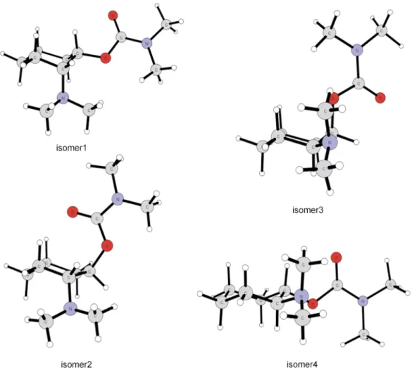 Figure 1. Optimized geometries od molecular models of four different isomers of 2-N,N-dimethy- 2-N,N-dimethy-laminecyclohexyl 1-N’,Ní-dimethylcarbamate.