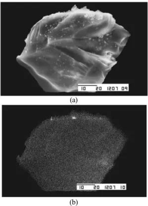 Figure 1: (a) Scanning electron micrographs of ST and (b) the corresponding EDS  image for Ti atoms.