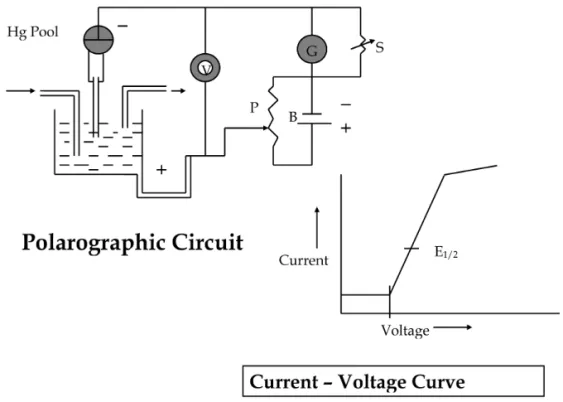 Figure 3. Polarographic set up.