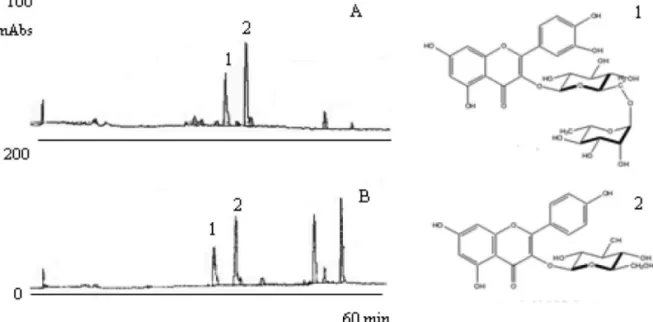 Figure  2. Flavonoid  contents  in  aqueous  and  hydroalcoholic  extracts  of  Alpinia  zerumbet obtained  by HPLC, comparing different extraction techniques