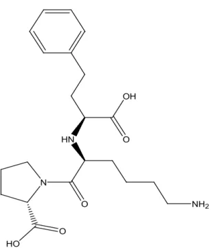fig. 1. Structure of lisinopril
