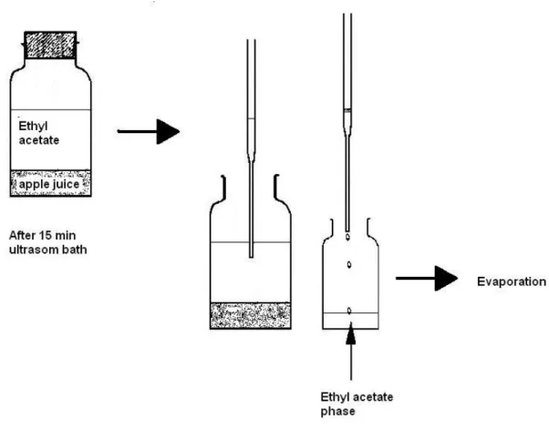 figure 1. Phase separation after sonication extraction.