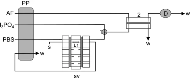 figure 1.  Schematic diagram of the low manifold. PP, peristaltic pump; AF, acceptor luid; PBS, phosphate  buffer solution; s, sample; L1, loop of sampling; sv, sampling valve; 1, mixture point; 2, gas diffusion cell; 