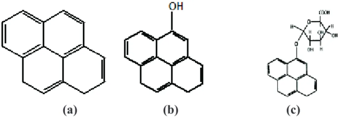 Figura 1.  Estrutura química do pireno (a), 1-hidróxipireno (b) e do 1-hidróxipireno/ácido glucurônico (c).