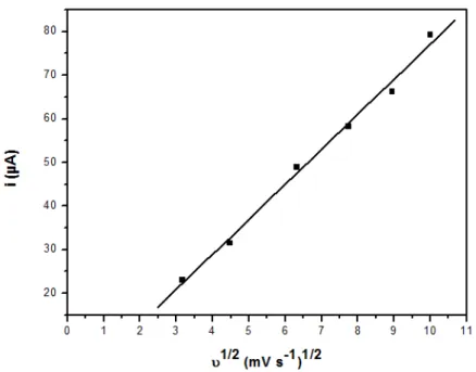 Fig. 7. Variação de i com v 1/2  para 2,4-DNP (1 x 10 -4  mol L -1 ). 
