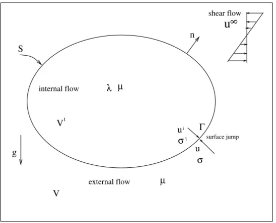 Figure 1 – Sketch of the boundary conditions on a drop surface. The sketch defines the notation used in this work.