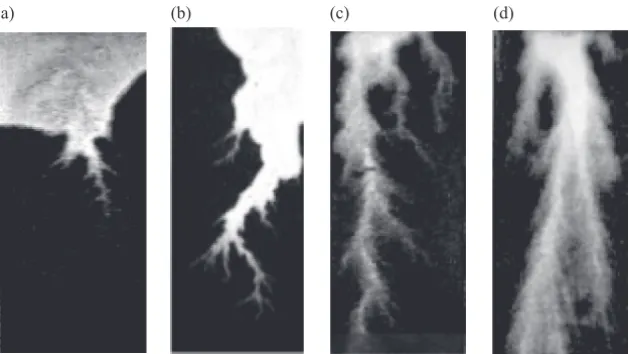Figure 1 – Example of experimental patterns for salt dissolution: (a) face dissolu- dissolu-tion, Q = 5 cm 3 .h −1 , C N aCl = 150 g.l −1 ; (b) conical wormhole, Q = 10 cm 3 .h −1 , C N aCl = 230 g.l −1 ; (c) dominant wormhole, Q = 50 cm 3 .h −1 , C N aCl 