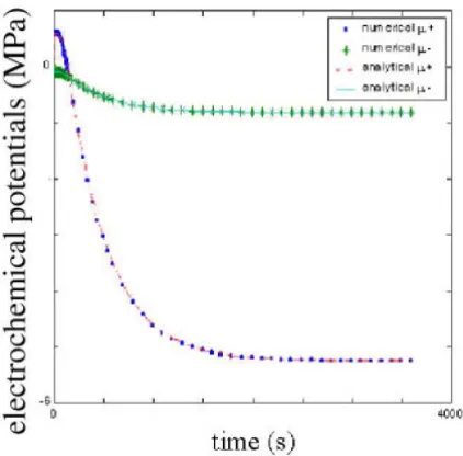 Figure 1 – Electrochemical potential of anions and cations as a function of time during swelling of a one dimensional ionised medium
