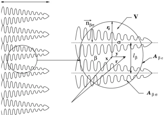Figure 1 – Macroscopic dendritic mushy zone and an associated averaging volume.