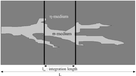 Figure 3 – Core-scale approach of the problem.