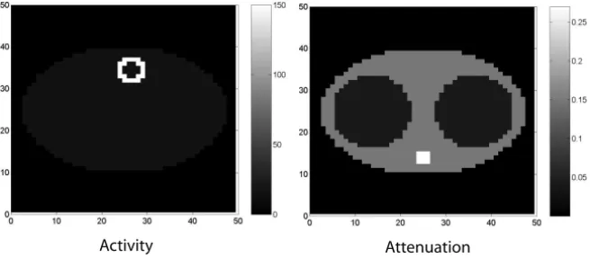 Figure 4 – Phantom.