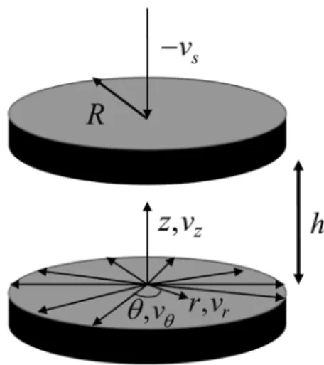 Figure 1 – Geometry of the squeeze film bearing.