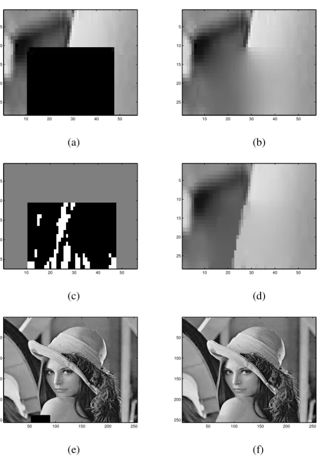 Figure 9 – Inpainting of a black square on the side of a real image: zoom occluded image (a), Laplace filled-in image (b), topological gradient (c) and inpainted image (d);
