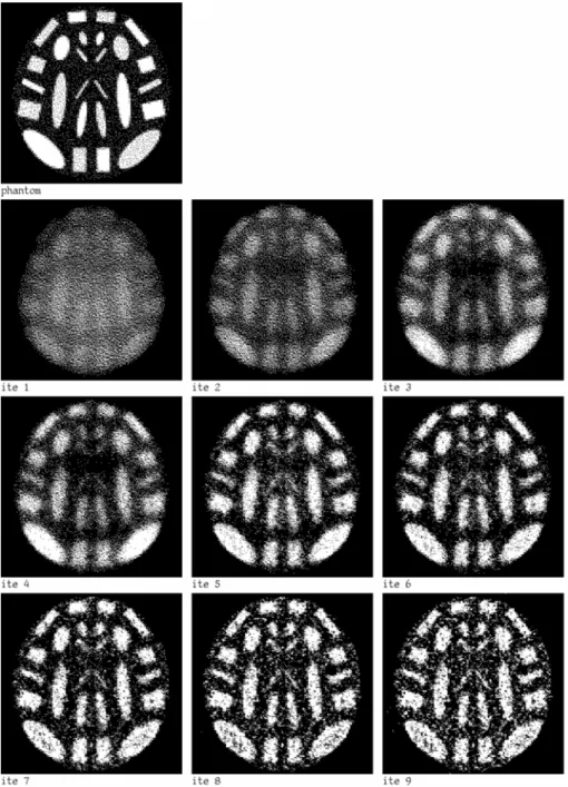 Figure 2 – A 95× 95 phantom randomly generated and its reconstructions using CGGLS with ω = 0.0 (diagonal scaling).