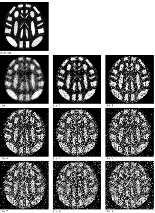 Figure 3 – A 95× 95 phantom randomly generated and its reconstructions using CGGLS with ω = 0.025.