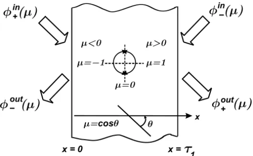 Figure 1 – One-dimensional participant medium model.