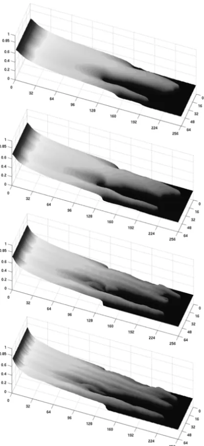 Figure 3 – Water saturation surface plots after 275 days of simulation in a heterogeneous reservoir having 256 m × 64 m, with C V = 0.5 and viscosity ratio 20