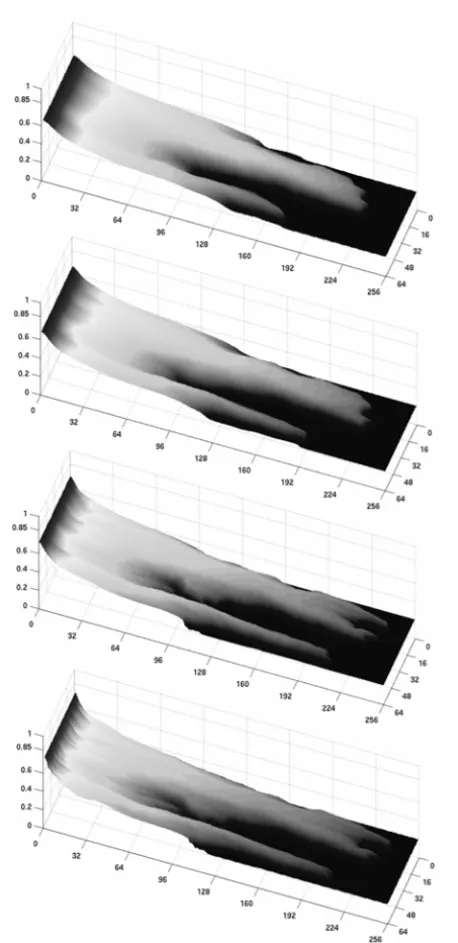 Figure 4 – Water saturation surface plots after 250 days of simulation in a heterogeneous reservoir having 256 m × 64 m, with C V = 1.2 and viscosity ratio 20