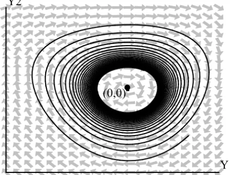 Figure 6 – System (4) restricted to the center manifold.
