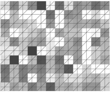 Figure 1 – Zoomed-in detail of an image at the pixel level. The image was superimposed with a finite element mesh of triangular elements