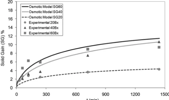 Figure 3 – Simulated (lines) and experimental (symbol) solid gain during osmotic de- de-hydration process applied for three different solution concentrations for pear half slice.