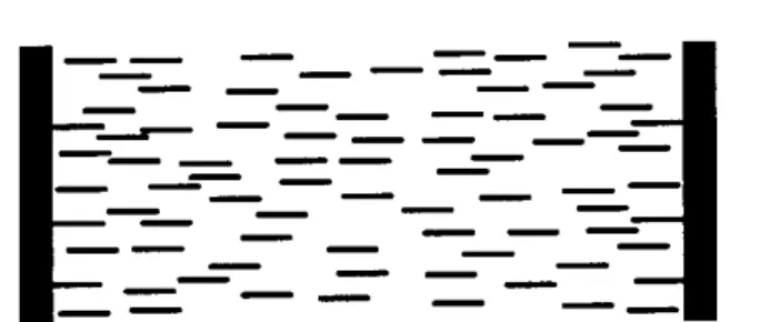 Figure 1. The system considered consists of two identical parallel plates immersed in a nematic liquid crystal.