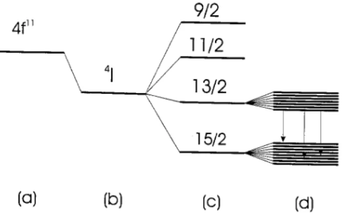Figure 1. Schematic representation of (a) the 4 f 11 states.