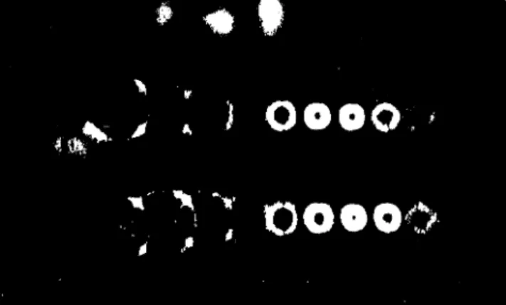 Figure 5. Plasma implosion cross section obtained by IMA- IMA-CON framing camera with 0.2  s interval with 3 : 3 mTorr lling pressure (Hydrogen).