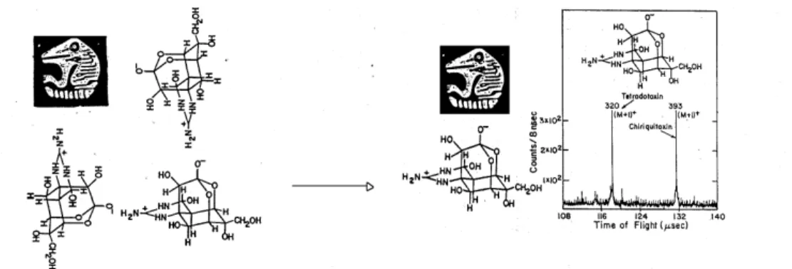 Figure 3. First Mass Spectrum of tetrodotoxin obtained by PDMS