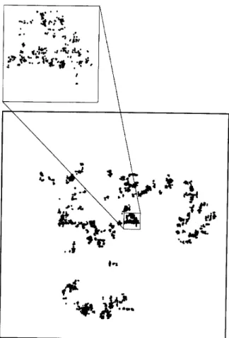 Figure 2. The rst 10 4 points visited by a two-dimensional random walk generated by a power-law jump distribution with exponent  = 1 : 5, starting at the center of the main frame