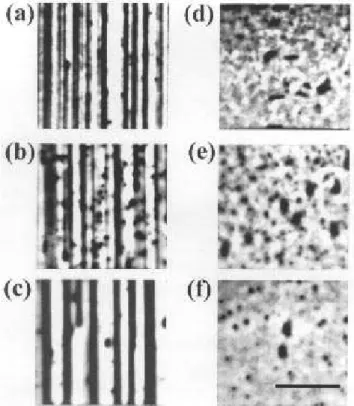 Fig. 1 shows the PLM images of compressive (  = +0 : 90%) and tensile (  = , 0 : 98%) strained  In-GaAsP/InP SQWs with dierent cap layer thicknesses.