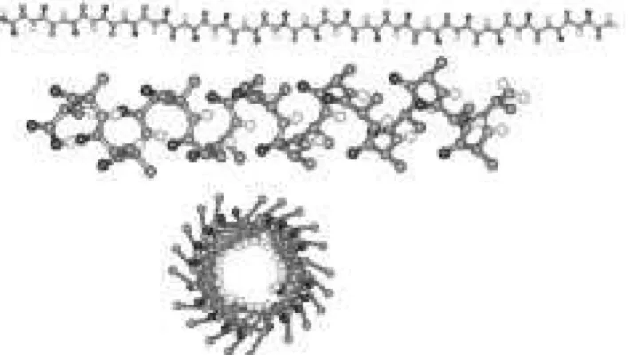 Figure 7. Ico-alanine p olyp eptid e in a linear- and helix-