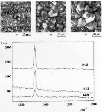 Figure 5. SEM image of the morphology of DF's ## 14-