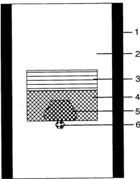 Figure 1. Sample assembly for diamond growth by the tem-