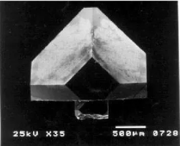 Figure 2. Diamond grown on a seed rystal. A small rystal