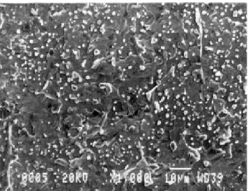 Figure 4. SEM photograph of YBCO lm grown on 150 nm