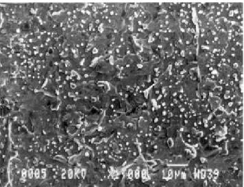 Figure 4. SEM photograph of YBCO lm grown on 150 nm