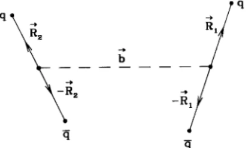 Figure 2. View in the transverse plane of the two loops that
