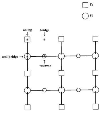 Figure 1. Adsorption sites of Te on Si(001) - 21, clean