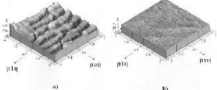 Figure 1. AFM image of a ZNS structure with N w = 10,