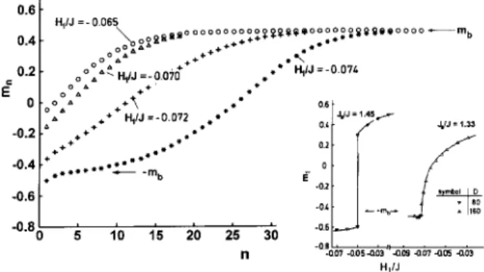 Figure 2. Proles of magnetization in a thik Ising lm as a