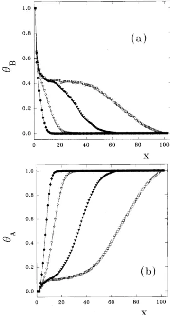 Figure 5. Concentration proles obtained during the dis- dis-placement of the A -poisoned phase by the reactive phase.