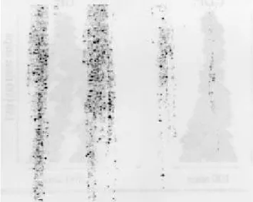 Figure 10. Typial lusters generated at ritiality on small