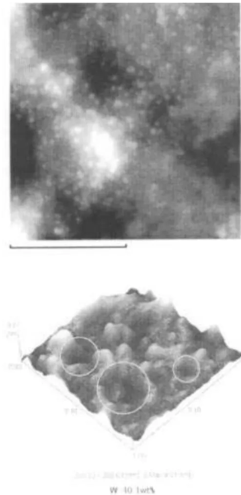 Figure 2. Sanning Probe Mirographs of water-based mag-