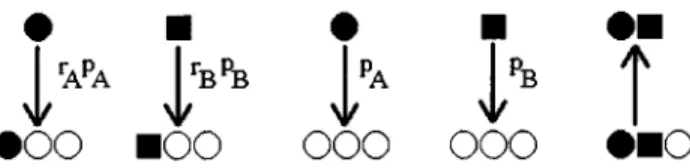 Figure 4. Interacting monomer - monomer model : open circles, lled circles and lled squares correspond to vacant sites, A , and B monomers respectively