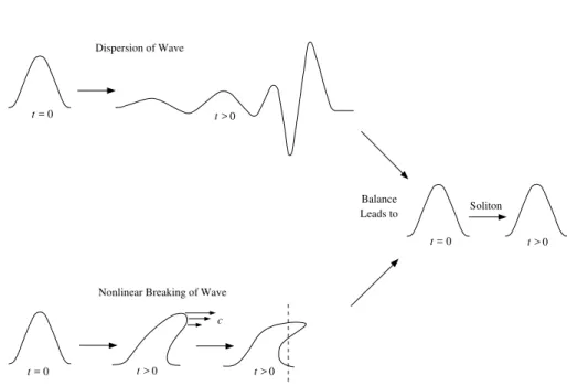 Figure 3. The balane eets of dispersion and breaking in a soliton.